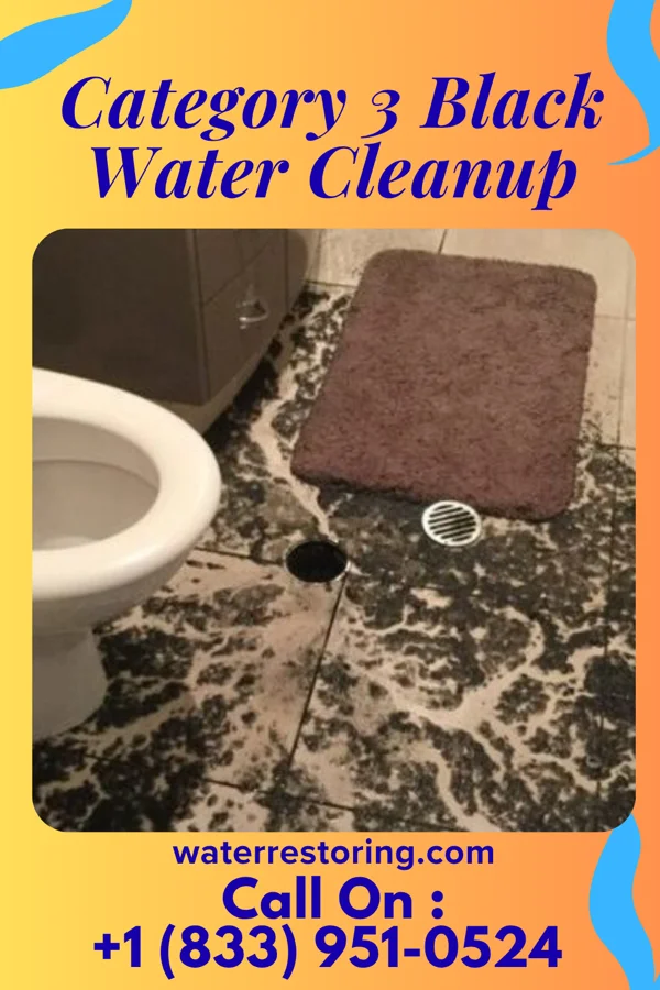 Category 3 Black Water Cleanup in Rosendale, WI