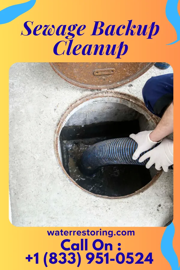 Sewage Backup Cleanup in Rosendale, WI