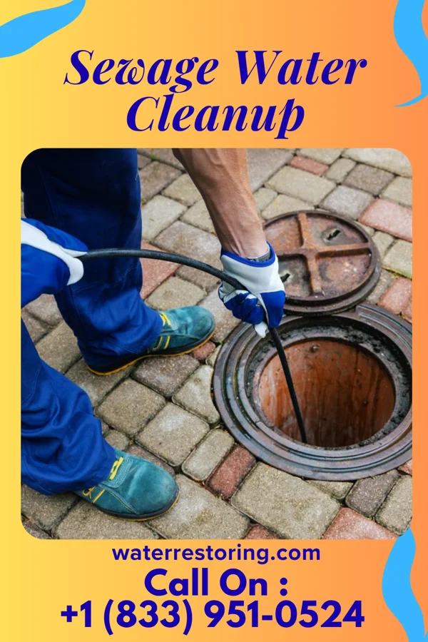 Sewage Water Cleanup in Rosendale, WI
